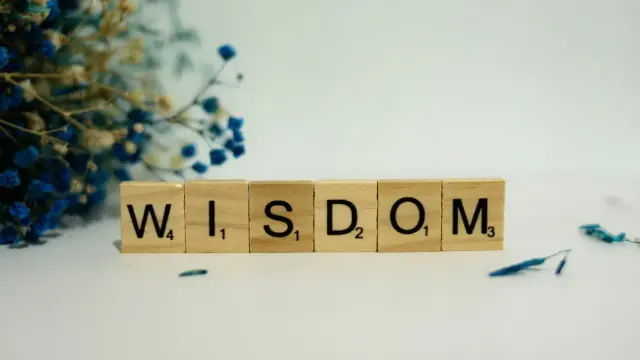 Wisdom